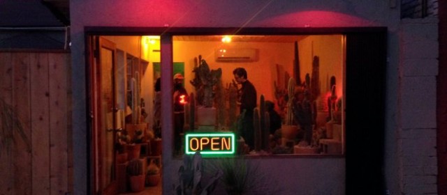 The Cactus Store Pops in at the Echo Park Arts & Crafts Fair